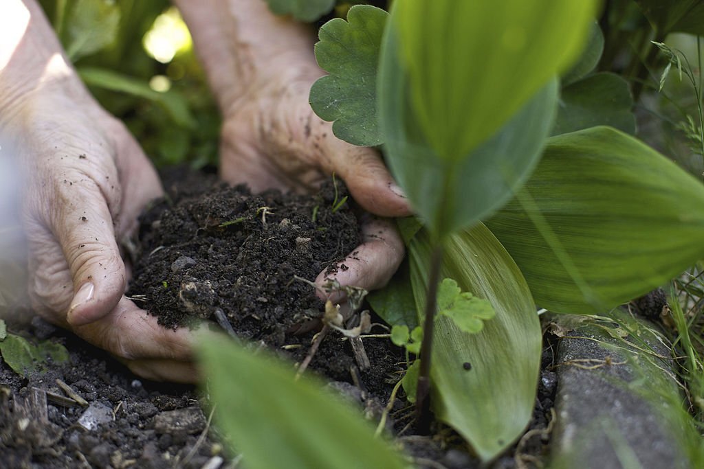 Healthy Soil Leads to Healthy Crops, Healthy People