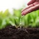 Steps To Put The Soil Back Into Life With Organics